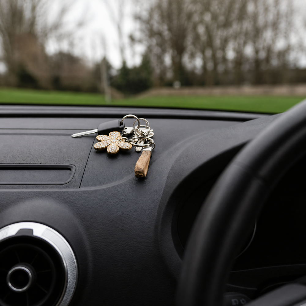 London Spy Shop | LawMate PV-AR300 Car Key